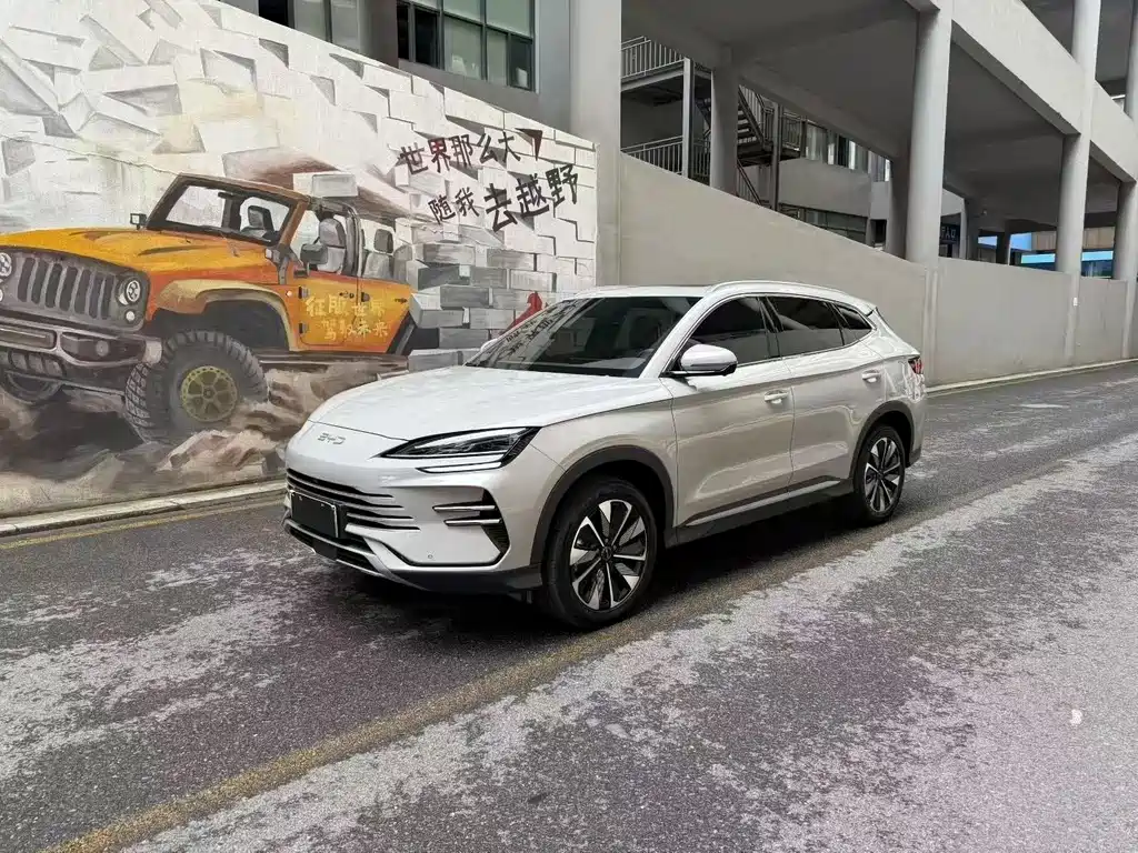 BYD Song PLUS New Energy 2024 — фото 1
