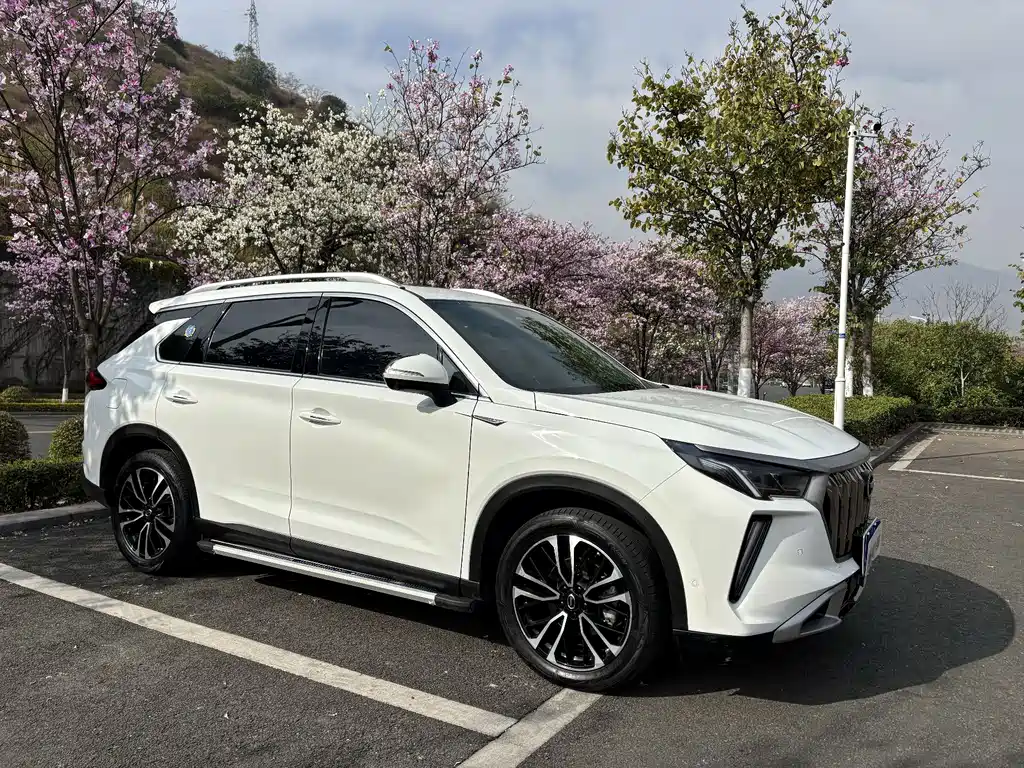 GAC Motor GS4 Plus 2024 — фото 3