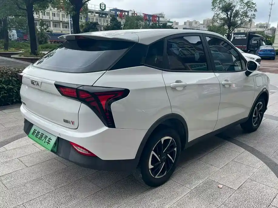 Neta V 2021
