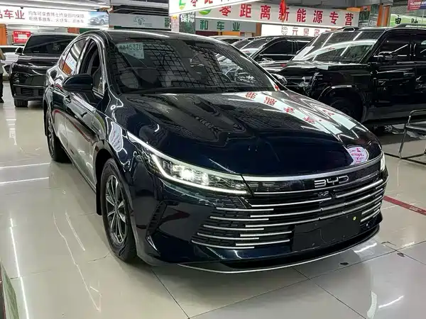 BYD Destroyer 05 2024