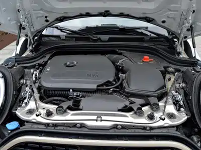 MINI MINI 2024