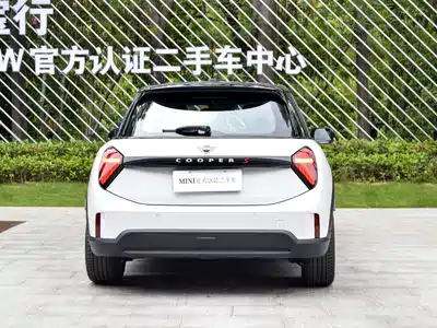 MINI MINI 2024