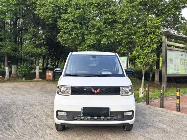 Wuling Hongguang MINIEV 2022