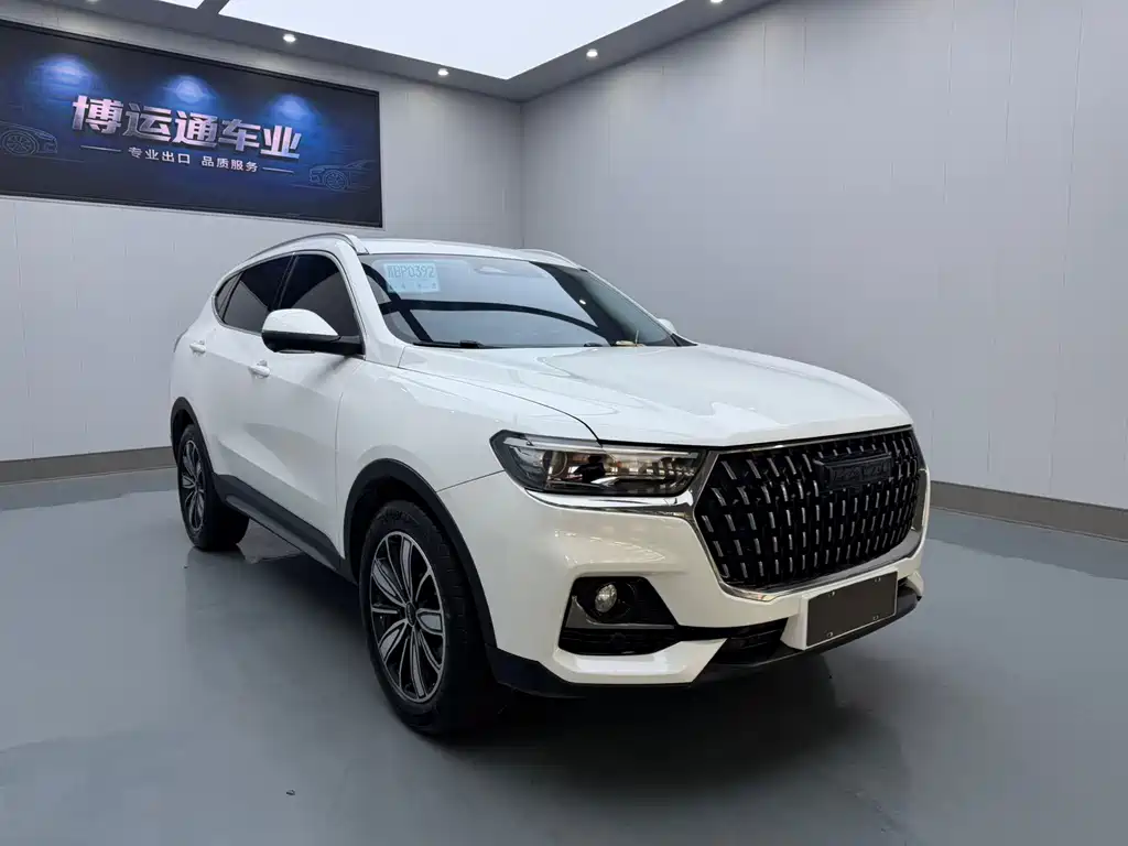 Haval H6 2023 — фото 3