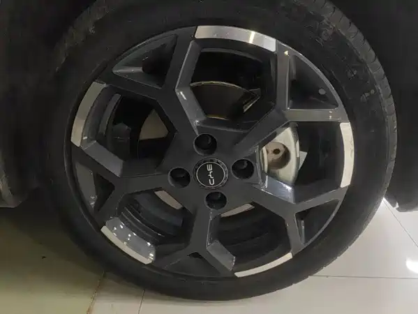 BYD Seagull 2024