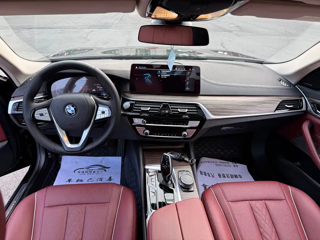 BMW 5 Series New Energy 2020 — фото 7