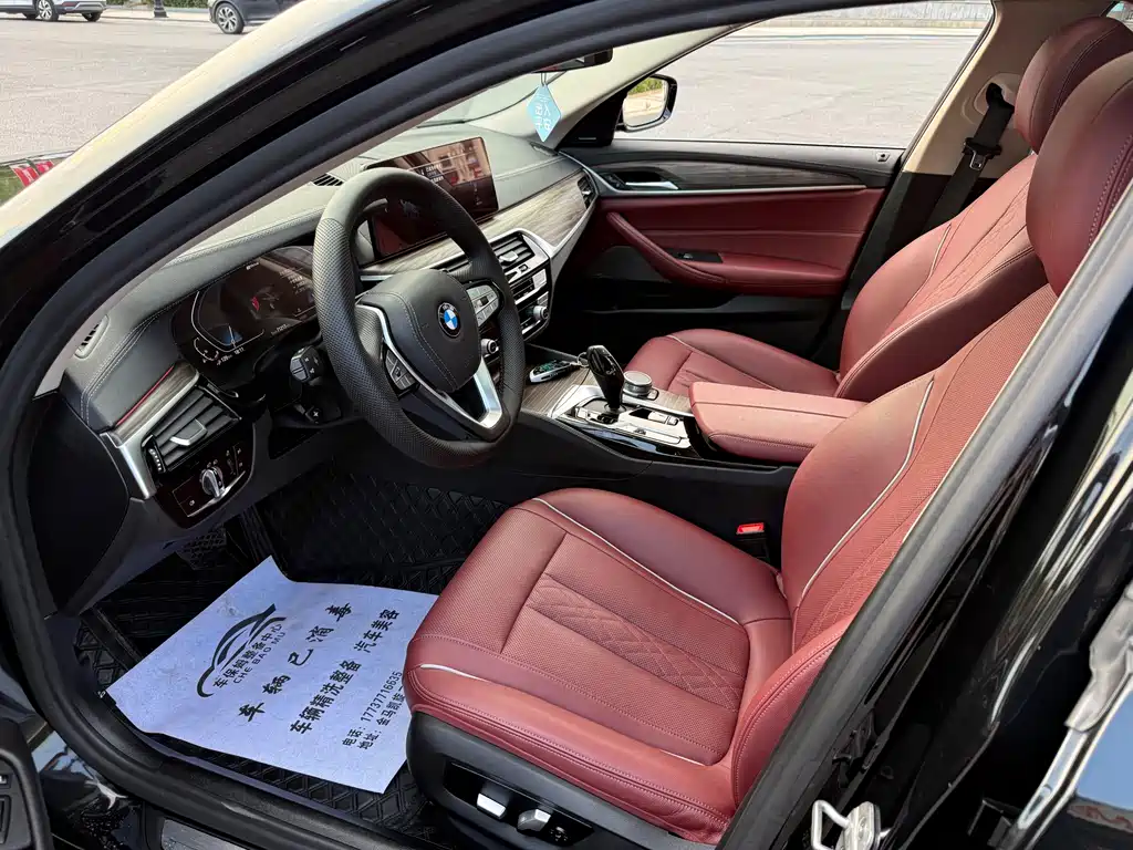BMW 5 Series New Energy 2020 — фото 8