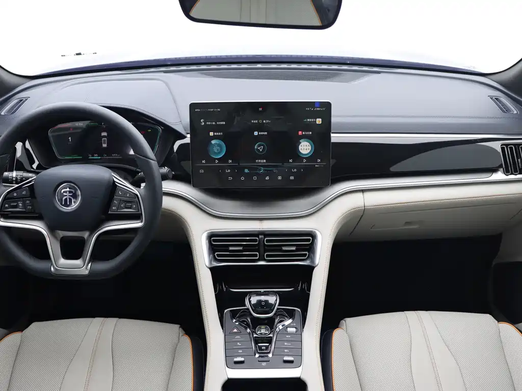 BYD Song PLUS New Energy 2021 — фото 15
