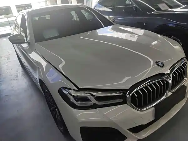BMW 5 Series New Energy 2021