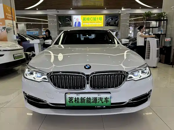 BMW 5 Series New Energy 2020