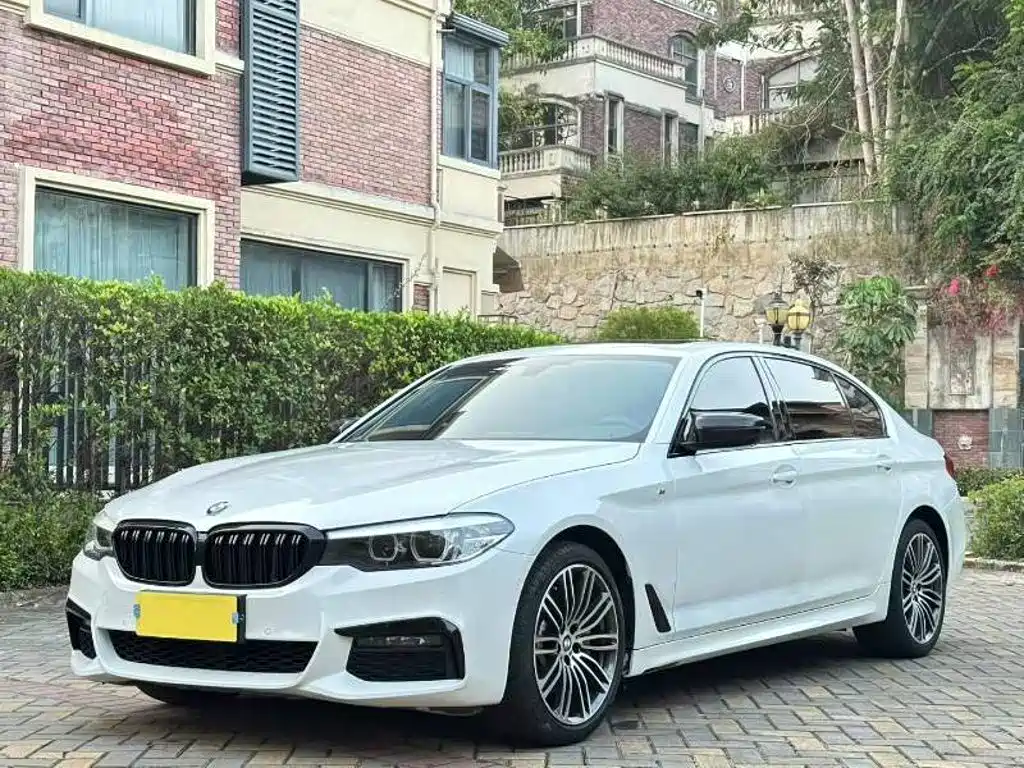 BMW 5 Series 2019