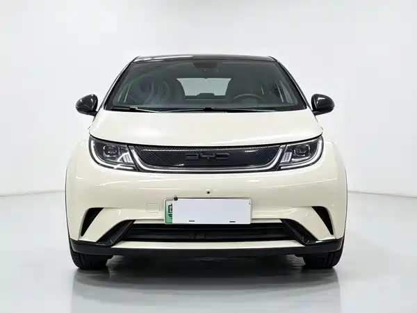 BYD Dolphin 2022