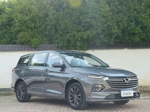 Wuling Victory 2021