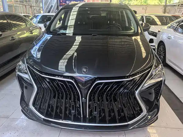 Dongfeng Popular Yacht 2023