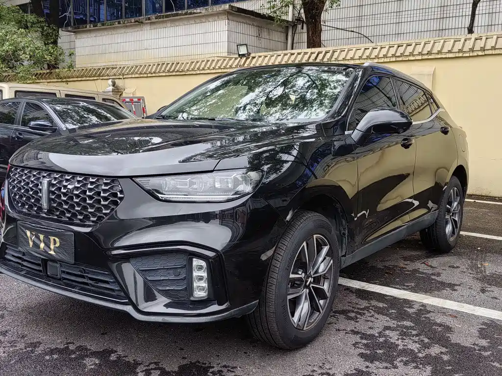 Wey VV5 2020