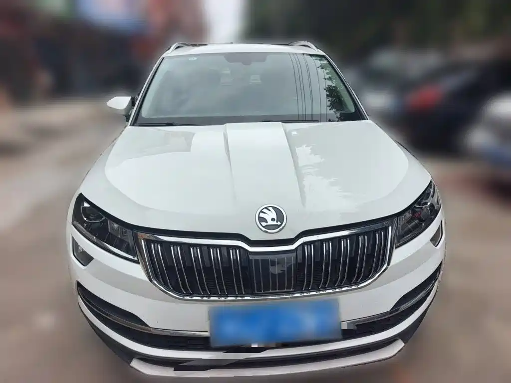 Skoda Karoq 2020 — фото 24