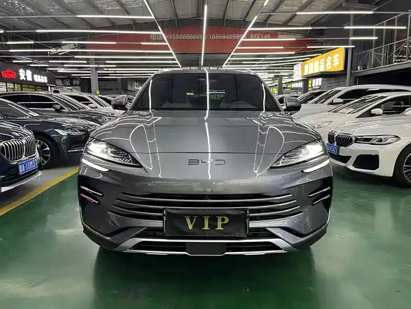 BYD Song PLUS New Energy 2024
