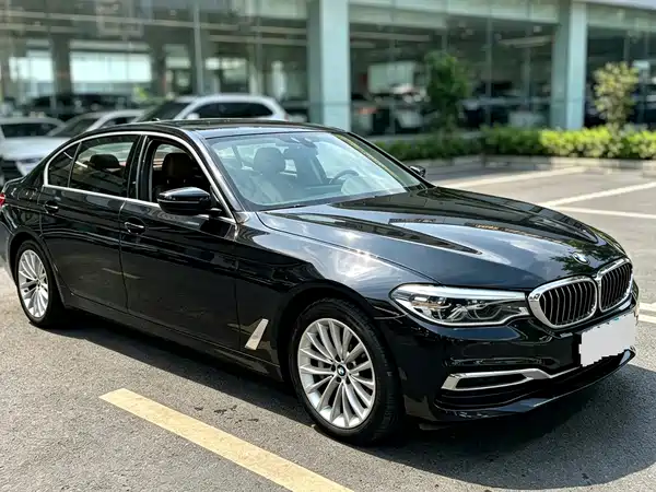 BMW 5 Series New Energy 2020