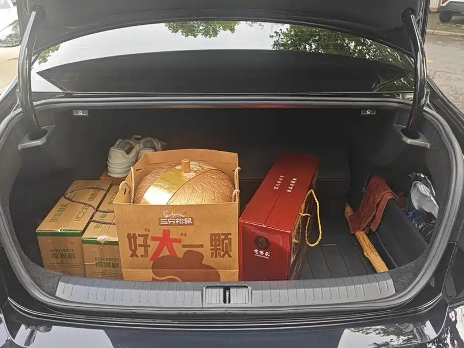 Volkswagen Magotan 2020