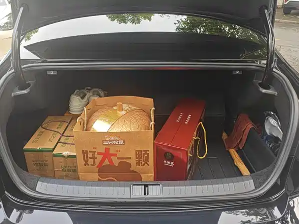 Volkswagen Magotan 2020