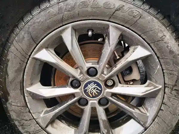 BYD Qin New Energy 2020
