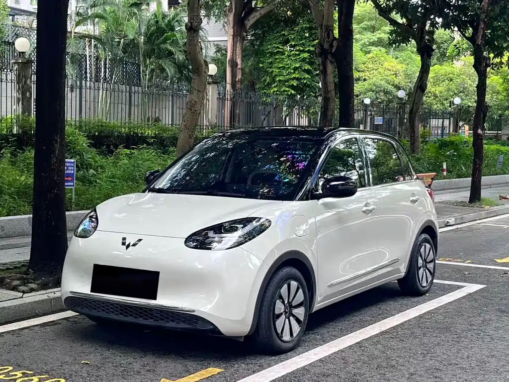 Wuling Bingo 2024