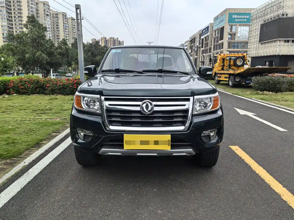 Dongfeng Ruiqi 2018