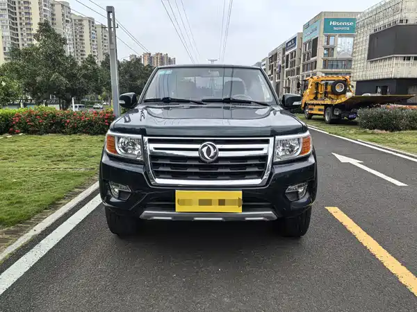 Dongfeng Ruiqi 2018