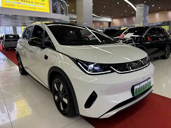 BYD Dolphin 2025