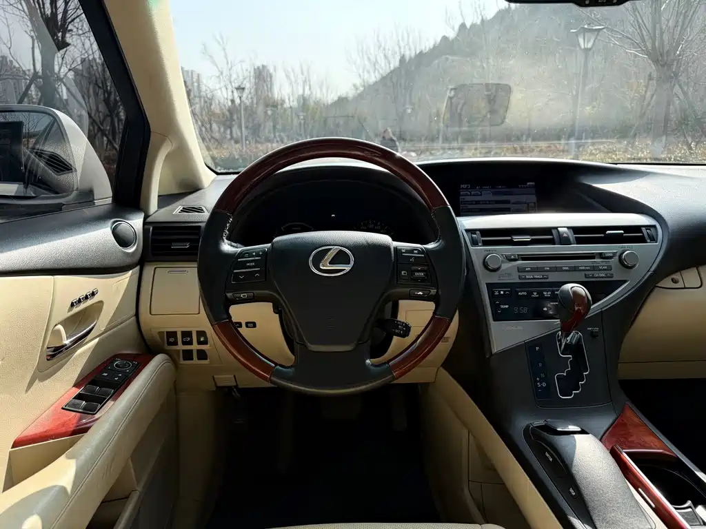 Lexus RX Classic 2010 — фото 17