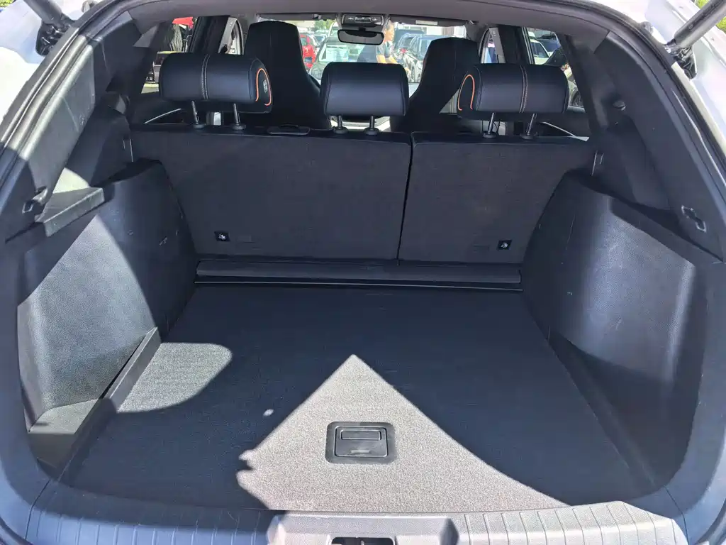BYD PLUS New Energy 2022 — фото 16