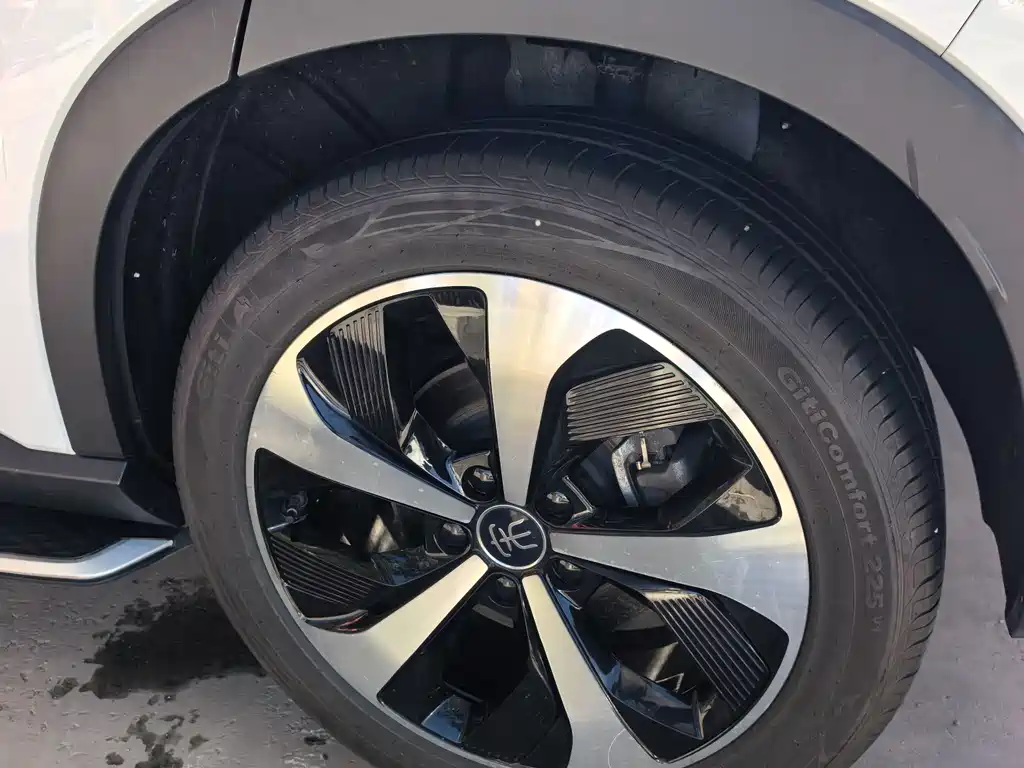 BYD PLUS New Energy 2022 — фото 18