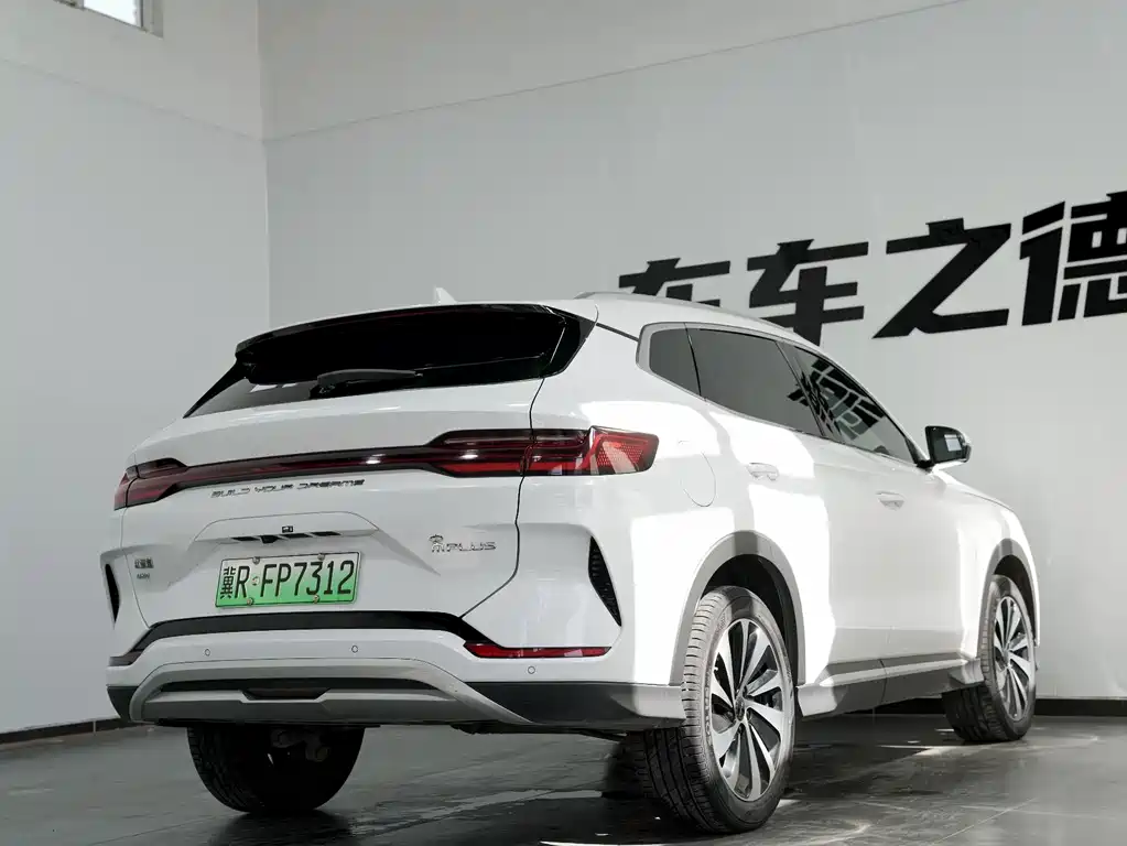 BYD PLUS New Energy 2024 — фото 20