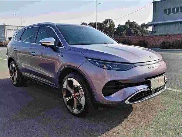Denza X 2020
