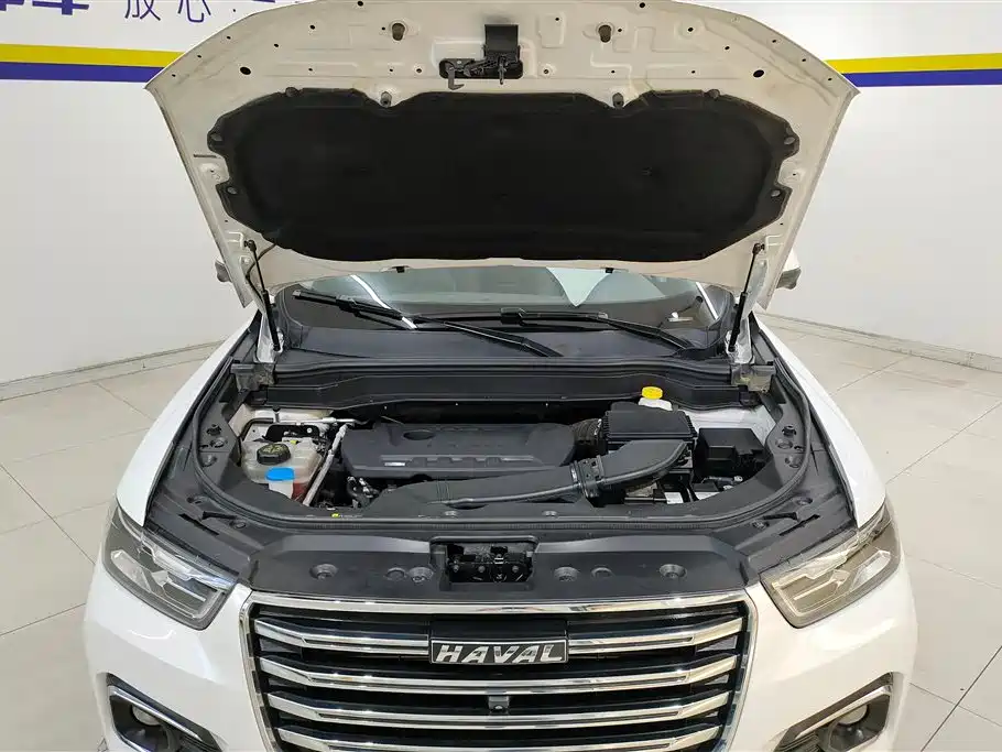 Haval H6 2019 — фото 10