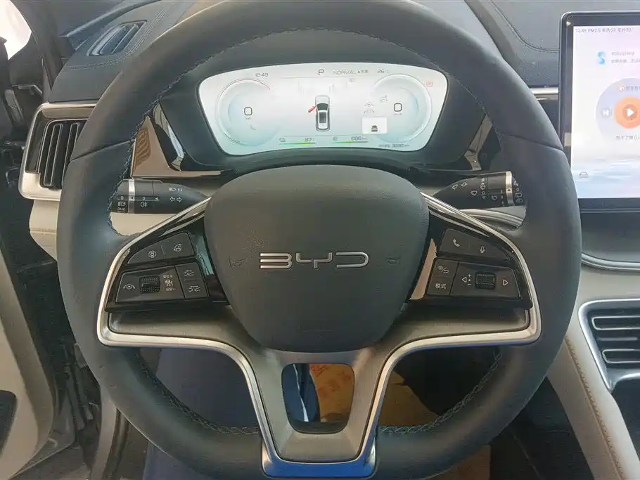BYD PLUS New Energy 2024 — фото 15