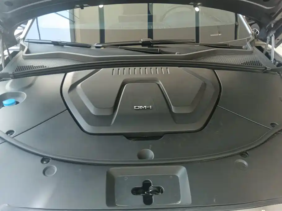 BYD PLUS New Energy 2024 — фото 10