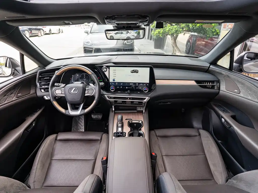 Lexus RX New Energy 2023 — фото 14