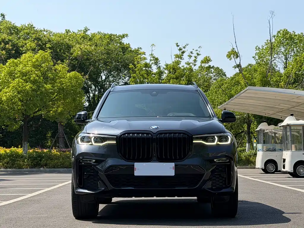 BMW X7 2020 — фото 2