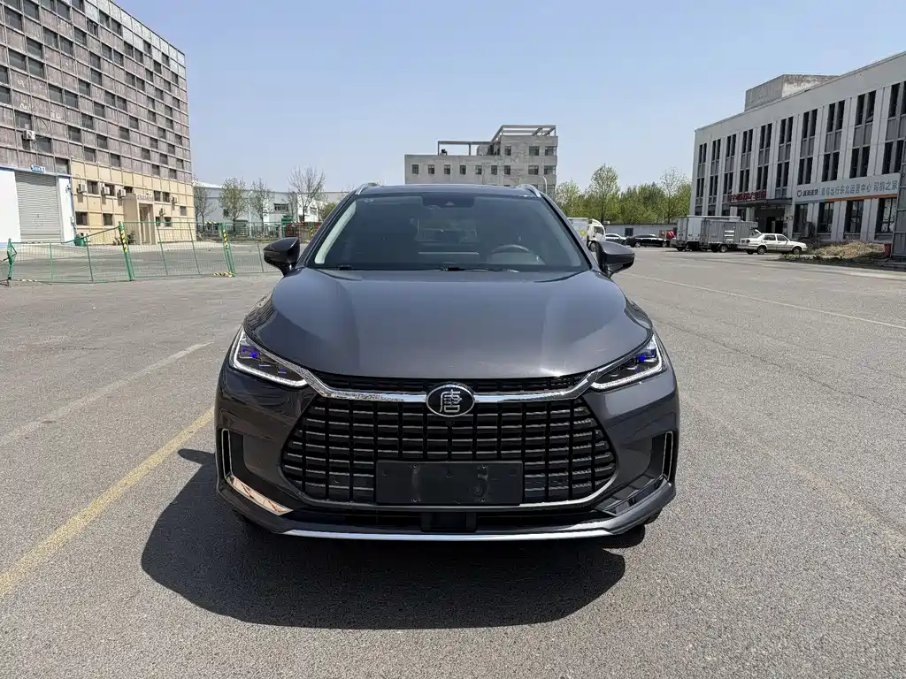 BYD Tang New Energy 2019 — фото 2