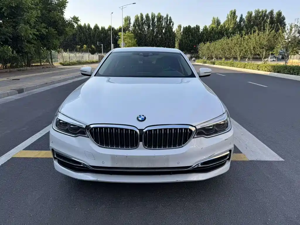 BMW 5 Series New Energy 2019 — фото 2