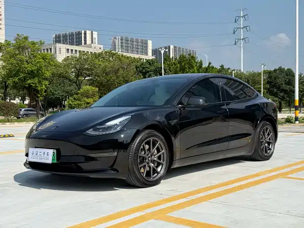 Tesla Model 3 2019