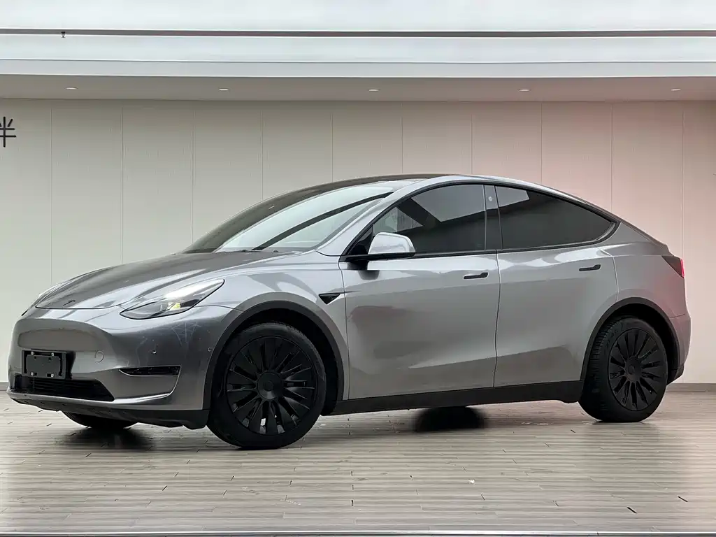 Tesla Model Y 2021 — фото 1