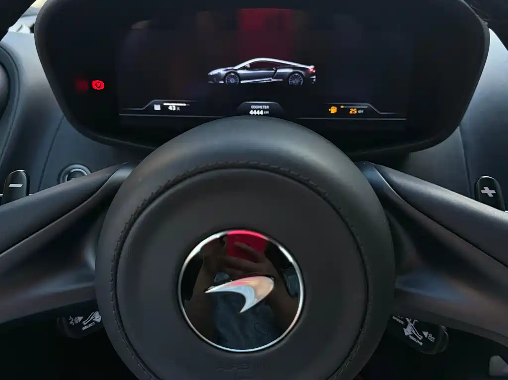 McLaren GT 2022 — фото 10