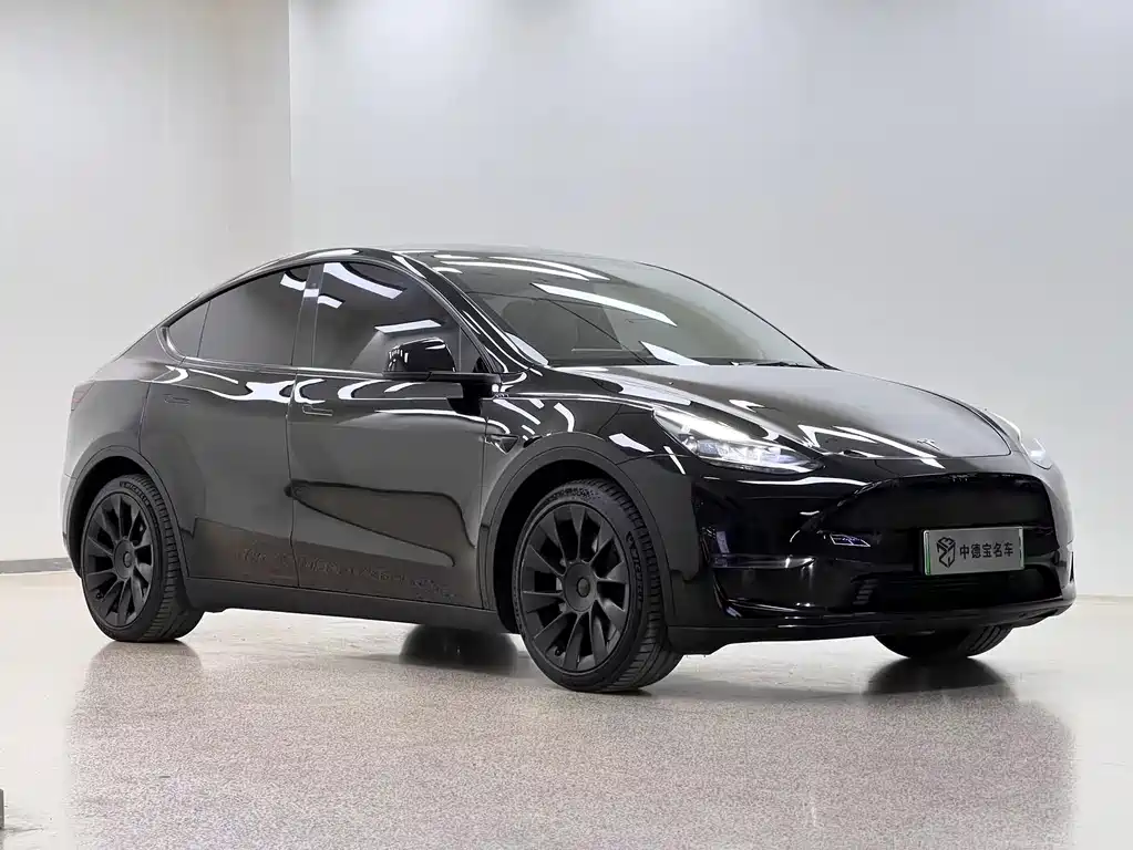 Tesla Model Y 2021 — фото 3