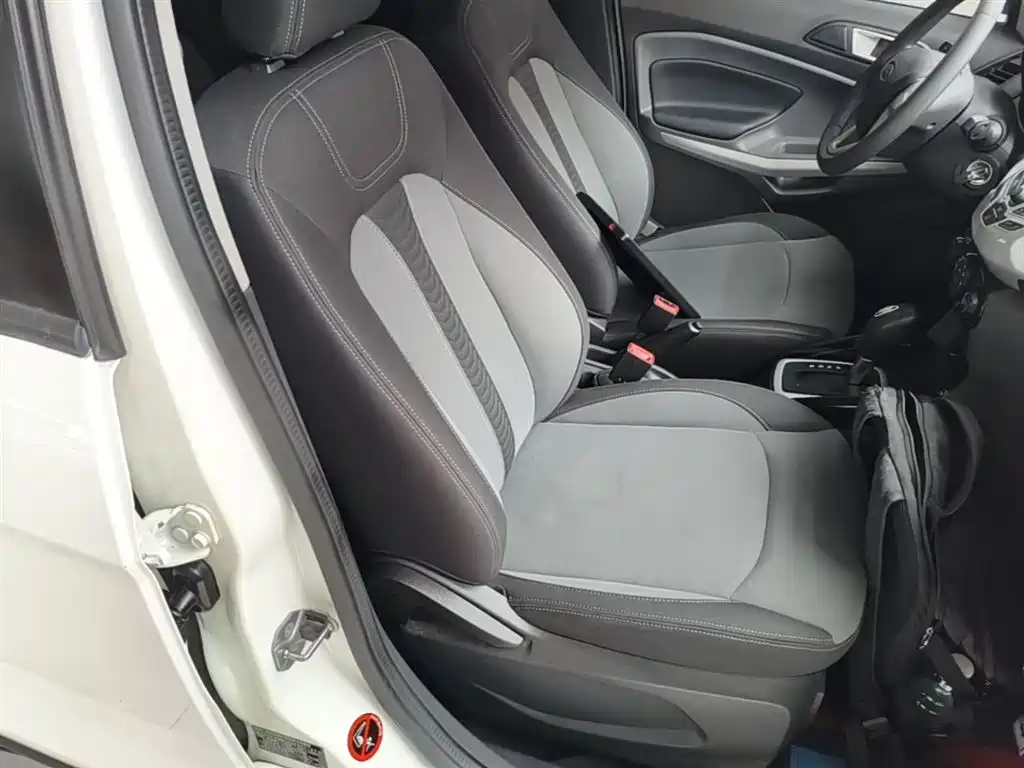Ford Ecosport 2014 — фото 25