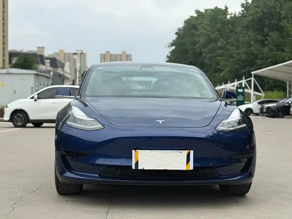 Tesla Model 3 2020 — фото 2