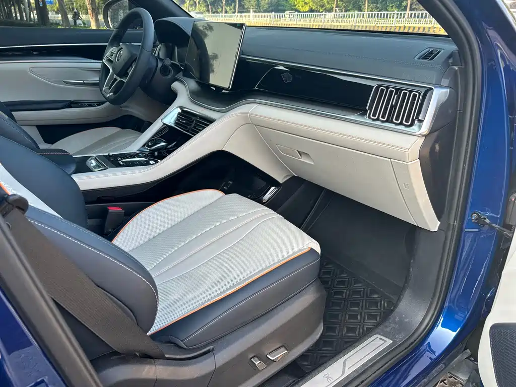 BYD Song PLUS New Energy 2023 — фото 21