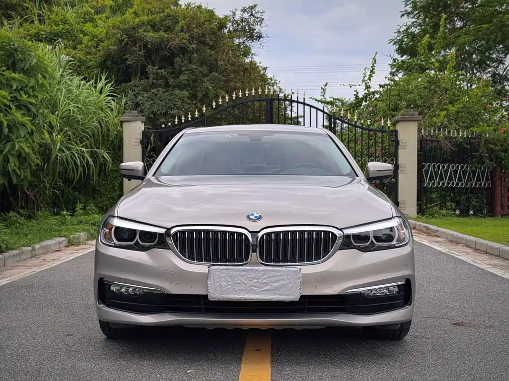 BMW 5 Series 2018 — фото 6