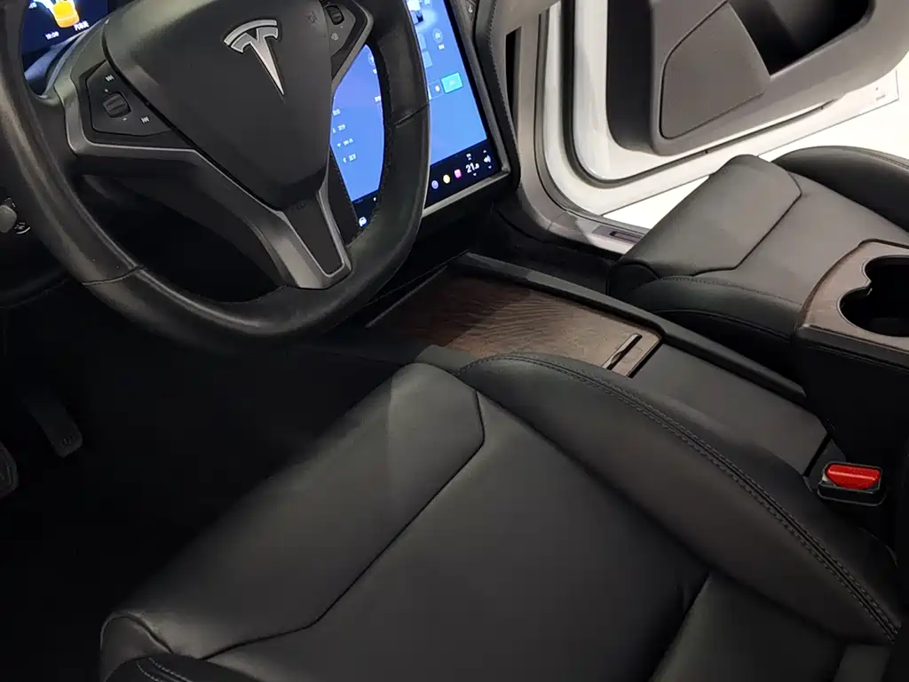 Tesla Model X 2020 — фото 7